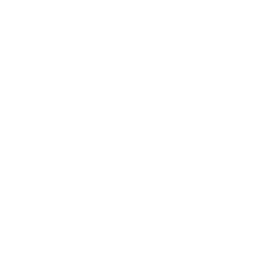 moneysafe